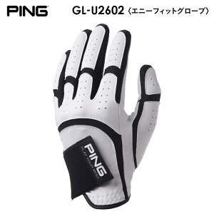 �s�� �G�j�[�t�B�b�g�O���[�u �Ў�p�i����/�E��j GL-U2602�i������v/20cm�`27cm�j PING ANY FIT
