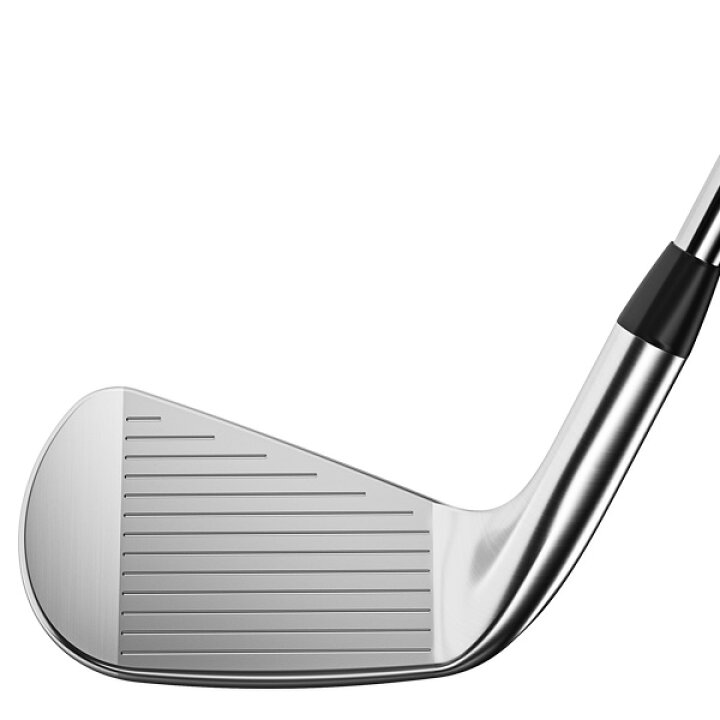 楽天市場】タイトリスト T100 アイアン 6本セット（#5～9,P） N.S.PRO 