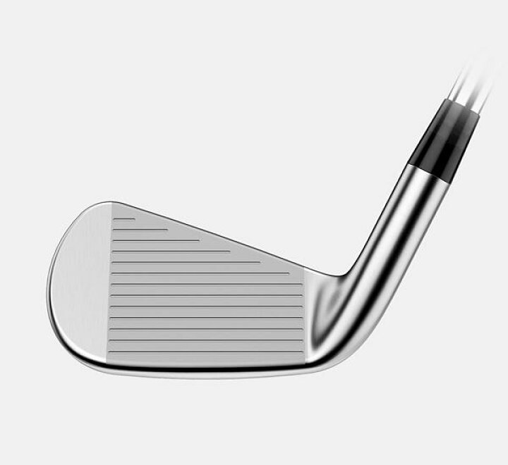 楽天市場】タイトリスト T200 アイアン 5本セット（#6〜9,P） N.S.PRO 