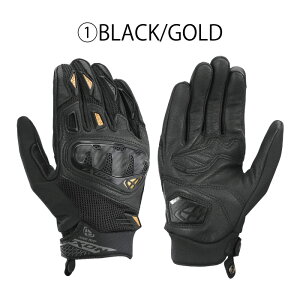 25t CN\ RISE AIR 2 L O[u(300212027) fB[XO[u