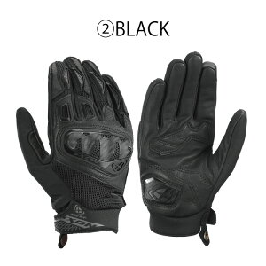 25t CN\ RISE AIR 2 L O[u(300212027) fB[XO[u