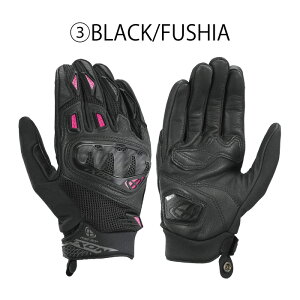 25t CN\ RISE AIR 2 L O[u(300212027) fB[XO[u