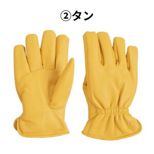 fOi[ WG-57 EB^[U[O[u 25H~