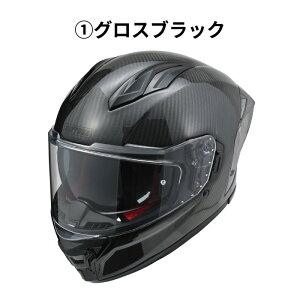 DAYTONA �f�C�g�i DN-011RC �J�[�{���w�����b�g