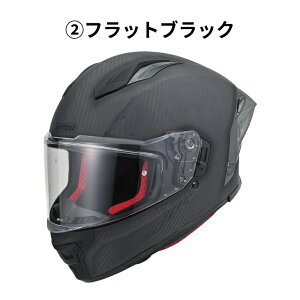 DAYTONA �f�C�g�i DN-011RC �J�[�{���w�����b�g