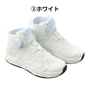 DAYTONA �f�C�g�i DS-504 S-AR�V���[�Y