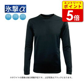 【エントリーで当店P5倍！お買い物マラソン期間中】フリーズテック 氷撃α 長袖クルーネック(25151309-15_29-35) バイク ウエア