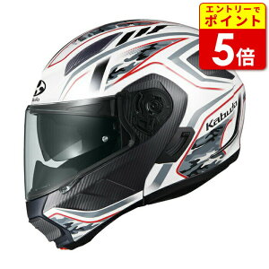 OGK RYUKI ENERGY EL GiW[ zCg/bh oCN wbg VXewbg  