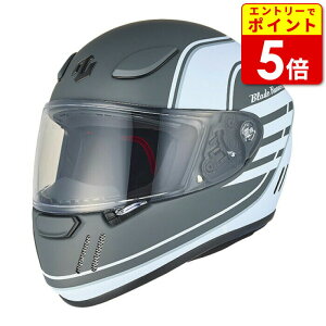 yGg[œXP5{I}\ԒzW[bg u[hi[ BRJ0021 GRAPHIC EURO MATT GRAY ZEALOT BladeRunner oCN wbg ttFCX  