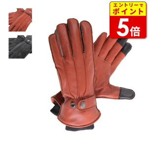 【エントリーで当店P5倍!お買い物マラソン期間中】デグナー WG-34 WINNTER GLOVE