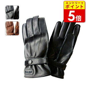 【エントリーで当店P5倍!お買い物マラソン期間中】レイト商会 JRP (DBN)3シーズングローブ レギュラー (XS-LL)