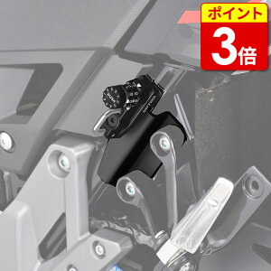 �f�C�g�i �_�C�����w�����b�g�z���_�[ SV650/X (49695)