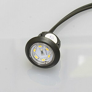 �m�A �Ƌ�pLED�Ɩ��i�Y��p�j �_�E�����C�g �ی` �� �R�[�h��150mm PC�t �d���F �����^�b�`�� ��t����21mm 0.2W �����Ɠx50lx�i30cm�����j N-LED2017 �m�A�e�b�N