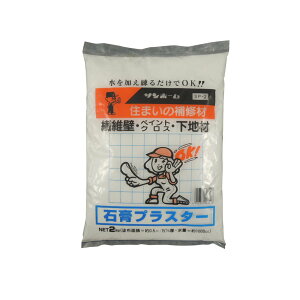 Tz[ ΍pvX^[ 2Kg SP-2 b yCg NX @ەǓ̉n ΍p ې