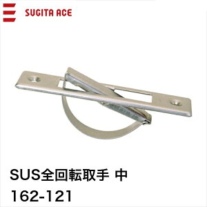 cG[X ACE (162-121) SUS S] 