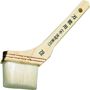 AgnEXyCg SP\pnP 70mm