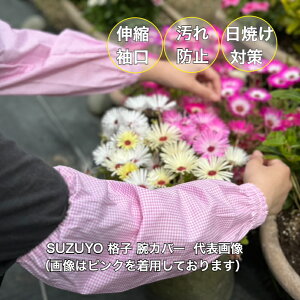 SUZUYO iq rJo[ sN | rJo[   _ y؍ | W[ AEghA K[fjO A[Jo[ r ƒ XY h  DIY | r t[TCY Ă UV