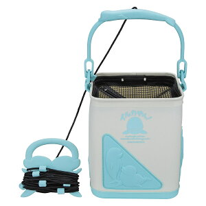 ꐸH CJI  21cm ݂ 333236