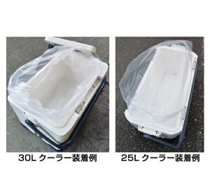 ތ N[[悲V[g 5 3ȏ̂Ń[ւw̏ꍇ͒ǉ250~ƂȂ܂