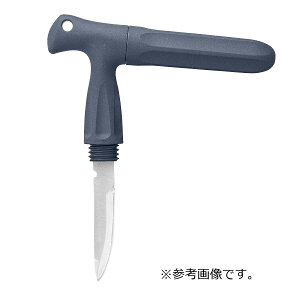 ꐸH TGnhiCt 70