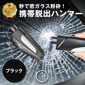 【在庫処分セール】脱出ハンマー 車 脱出用ハンマー シートベルトカッター付 水中適用 緊急脱出 試用ガラス レスキューハンマー 車用 ポンチタイプ 窓ガラス 割る 粉砕 緊急脱出ハンマー ライフハンマー 小型 携帯 キーホルダー 安全対策 送料無料