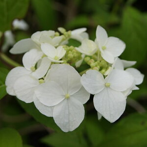 qEKAWTCwĂ܂x(݂Ă܂)