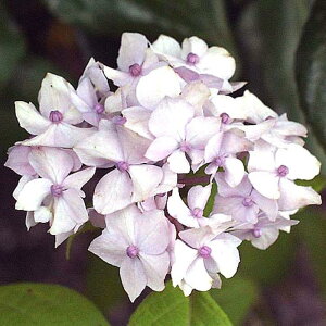 }AWTCwHĂ܂x(̂Ă܂)