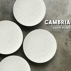 JuA v[g 24cmye[uEFA/H/ێM/Bq/Z/WΉ/H@Ή/lC//Vv/킢/v[g/M/Ă///a/_/{/zCg//