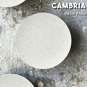 JuA v[g 28cmye[uEFA/H/ێM/Bq/Z/WΉ/H@Ή/lC//Vv/킢/v[g/M/Ă///a/_/{/zCg//