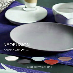 �l�I�t���[�W���� �N�[�v�v���[�g 22cm�yRA22002/RAK/�H��/�l�C/�������/�v���[�g/�M/�A���u�񒷍��A�M��/UAE/�u���b�N/���b�h/�z���C�g/�O���[/�u���E��/�V���v��/�J���t��/�H��@�Ή�/�d�q����