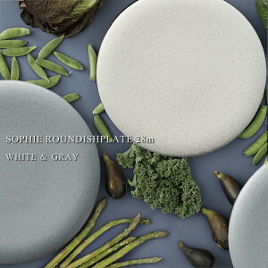 \tB| EhfBbVv[g 28cmyRq/SAKUZAN/Z/H/lC//Vv/킢/v[g/M/fbV/Ă//a/_/{/H@Ή/dqWΉ/z