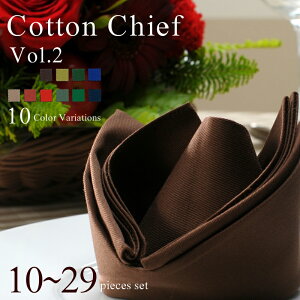 Rbg e[uivL { Rbg`[t 10`29wpy[W(e[uitL 100 50cm 30F  킢 ݃J[ H  EGfBO p[eB[ i