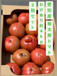 y킯izymY@g}g@2P[XZbgzy4kgO×2zy@HɁ@W[XɁ@ƖpɁzykC͑ʓr500~@ꌧ͕ʓr2000~z