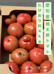 ymY@g}g@1P[X(4kgO)zy킯izy@HɁ@W[XɁ@ƖpzykC͑ʓr500~@ꌧ͕ʓr2000~zy܂Ƃ߂čwłȂ܂z