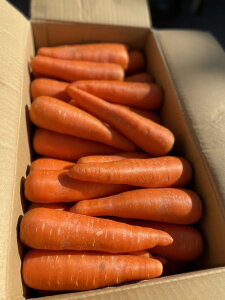 �y���ʓ��ג��`!!�z�y�킯����i�z�l�Q�@1�P�[�X(��10kg)�@�����@�����@���H�Ɂ@�W���[�X�Ɂ@�Ɩ��p�Ɂ��k�C���͑����ʓr1000�~�@���ꌧ�͕ʓr2000�~�@�|����܂����������̎w��s��