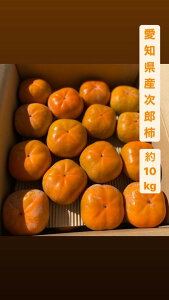 yY`1i@i30-45j10kgz@ymY@@ňl@Yn@Iz@kC@Ȃւ͕ʓr܂