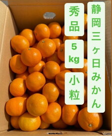 【現在青島品種!!!そろそろ終了です!!】【迷ったらこれ!!大人気!!】【静岡三ヶ日みかん　1ケース(S または Mサイズ約5kg）】【静岡県三ヶ日産 小粒 最安値 御歳暮 贈答に】　【北海道、沖縄県への発送　別途料金かかります】