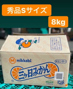 y11{׎揇!!!zyO_@݂@Gizy1P[X(STCY@8kgjÉOYzyJAO @݂@ʐ%iȂGi@ZT[