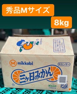 y11{׎揇!!!zyō@O_@݂zyGi@1P[X(MTCY@8kgjzyÉOY@JAO zykC@Ȃւ̔s