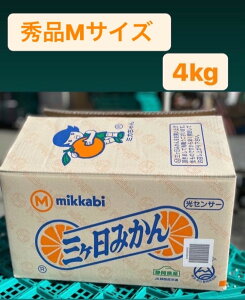 y11{׎揇!!!zyō@O_@O݂zyGi(MTCY@4kgj@zyJAO@ÉOY@Ε@zykC@Ȃ