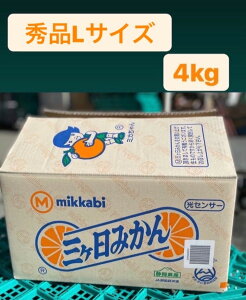 y11{׎揇!!!zyO@_@݂@Giz@y1P[X(LTCY@4kgjÉOYz@yJAO @݂@ʐ%iȂGi@ZT