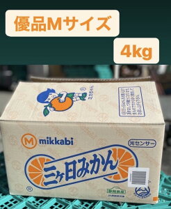 y11{׎揇!!!zyO@_@݂zyDi1P[X(MTCY@4kgjzyÉOY@JAOzykCAȂւ̔sz