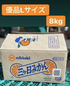 y11{׎揇!!!zyO@_@݂@Dizy1P[X(LTCY@8kgjÉOYzyJAO @݂@ZT[I@IzykC@A