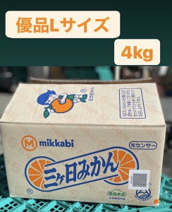 y11{׎揇!!!zyO@_@݂@Dizy1P[X(LTCY@4kgjÉOYzyJAO @݂@ZT[I@Iz@ykC@