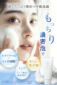 NANOA 洗顔フォーム 洗顔 スキンケア ヒト幹細胞 エクソソーム EGF スキン ケア セラミド 洗顔セット 保湿 乾燥肌 保湿 SCフェイスウォッシュ うるおい 毛穴 汚れ 肌 基礎化粧品 肌に優しい しっとり 潤う 30代 40代 50代