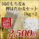 【最大500円オフクーポン】1kg×2個　国産 もち麦＆押はだか麦 大麦 食べ比べセット 100% 愛媛県産【メール便送料無料】 ランキングお取り寄せ
