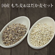 900g×2個 国産 もち麦＆押はだか麦 大麦 食べ比べセット 100% 媛もち麦 【送料無料】 ギフトにも プレゼ…