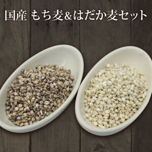 900g×2 Y ͂ 唞 Hה׃Zbg 100% Q yz Mtgɂ v[g