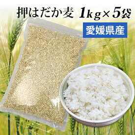 国産 押はだか麦 1kg×5袋 お徳用 大麦 もち麦と同じ はだか麦のうるち性 100% 愛媛県産【送料無料】大麦βグルガンが豊富！ ギフトにも