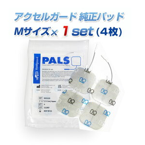 ySSZ[Iڍׂ̓Z[zyizANZK[h MTCYyp[tFNg4000^EMSpbh^Spbh^pbg^g[g^TORAY PT3^VFCvr[g^cCr[g^ɓ